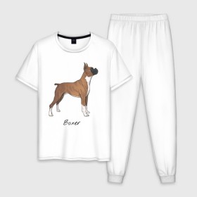 Мужская пижама хлопок с принтом Немецкий Боксер в Тюмени, 100% хлопок | брюки и футболка прямого кроя, без карманов, на брюках мягкая резинка на поясе и по низу штанин
 | boxer | dog | боксёр | собака | собака боксер | собаки