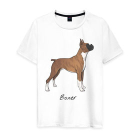 Мужская футболка хлопок с принтом Немецкий Боксер в Тюмени, 100% хлопок | прямой крой, круглый вырез горловины, длина до линии бедер, слегка спущенное плечо. | Тематика изображения на принте: boxer | dog | боксёр | собака | собака боксер | собаки