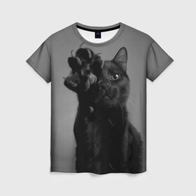 Женская футболка 3D с принтом Котик в Тюмени, 100% полиэфир ( синтетическое хлопкоподобное полотно) | прямой крой, круглый вырез горловины, длина до линии бедер | животные | когти | кот | котенок | котик | кошка | лапка | природа
