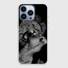 Чехол для iPhone 13 Pro с принтом Лев и львица в Тюмени,  |  | животные | кот | кошка | лев | львица | оскал | природа | рык | рычит | хищник
