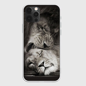 Чехол для iPhone 12 Pro Max с принтом Лев и львица в Тюмени, Силикон |  | Тематика изображения на принте: животные | кот | кошка | лев | львица | оскал | природа | рык | рычит | хищник