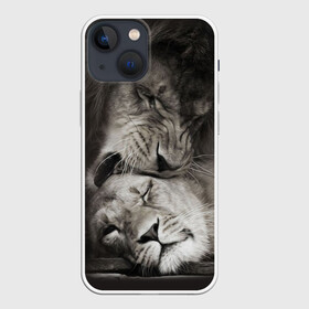 Чехол для iPhone 13 mini с принтом Лев и львица в Тюмени,  |  | животные | кот | кошка | лев | львица | оскал | природа | рык | рычит | хищник
