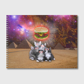 Альбом для рисования с принтом Египетские Коты в Тюмени, 100% бумага
 | матовая бумага, плотность 200 мг. | cat | cosmos | egypt | fast | fastfood | food | meme | party | space | вечеринка | египет | еда | иллюминаты | космос | кошак | кошка | масоны | мем | песок | пирамиды | пицца | пустыня | фастфуд