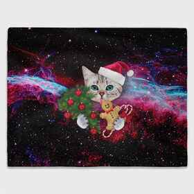 Плед 3D с принтом astro cat в Тюмени, 100% полиэстер | закругленные углы, все края обработаны. Ткань не мнется и не растягивается | art | cat | new year | pizza | space | абстракция | еда | ёлка | звезды | киса | космос | кот | кот в космосе | кот с едой | котенок | котик | кошка | новый год | пицца | праздник | рождество | шапка