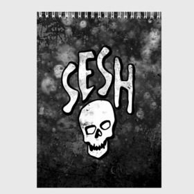 Скетчбук с принтом SESH Team (Bones) в Тюмени, 100% бумага
 | 48 листов, плотность листов — 100 г/м2, плотность картонной обложки — 250 г/м2. Листы скреплены сверху удобной пружинной спиралью | Тематика изображения на принте: bones | boy | dead | deadboy | elmo | hdmi | hip | hop | kennedy | metal | rap | rapper | scream | sesh | seshollowaterboyz | skull | team | кеннеди | кости | костя | метал | рэп | рэпер | сеш | скрим | сэш | хип | хоп | череп | элмо