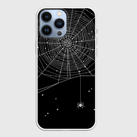 Чехол для iPhone 13 Pro Max с принтом Паутина в Тюмени,  |  | вода | день мертвых | дизайнерская | искусство | капли | картинка | круто | лучший | мексика | мода | молодёжная | мрак | насекомое | ночь | паук | паутина | подарок | поздравление | праздник | рисунок