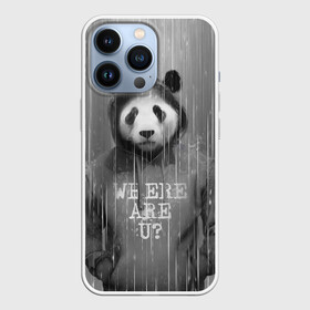 Чехол для iPhone 13 Pro с принтом Панда в Тюмени,  |  | Тематика изображения на принте: дождь | животные | капюшон | кофта | медведь | мишка | панда | природа | хипстер