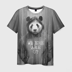 Мужская футболка 3D с принтом Панда в Тюмени, 100% полиэфир | прямой крой, круглый вырез горловины, длина до линии бедер | дождь | животные | капюшон | кофта | медведь | мишка | панда | природа | хипстер