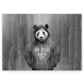 Поздравительная открытка с принтом Панда в Тюмени, 100% бумага | плотность бумаги 280 г/м2, матовая, на обратной стороне линовка и место для марки
 | дождь | животные | капюшон | кофта | медведь | мишка | панда | природа | хипстер