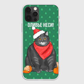 Чехол для iPhone 12 Pro Max с принтом Кот хочет кушот в Тюмени, Силикон |  | Тематика изображения на принте: кот | кушот | новый год | оливье | толстый кот