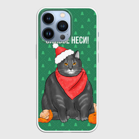 Чехол для iPhone 13 Pro с принтом Кот хочет кушот в Тюмени,  |  | Тематика изображения на принте: кот | кушот | новый год | оливье | толстый кот