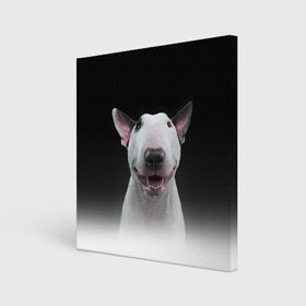 Холст квадратный с принтом Oh snap! в Тюмени, 100% ПВХ |  | bull terrier | dog |   | бультерьер | собака