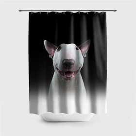 Штора 3D для ванной с принтом Oh snap! в Тюмени, 100% полиэстер | плотность материала — 100 г/м2. Стандартный размер — 146 см х 180 см. По верхнему краю — пластиковые люверсы для креплений. В комплекте 10 пластиковых колец | bull terrier | dog |   | бультерьер | собака