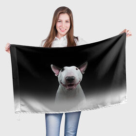 Флаг 3D с принтом Oh snap! в Тюмени, 100% полиэстер | плотность ткани — 95 г/м2, размер — 67 х 109 см. Принт наносится с одной стороны | Тематика изображения на принте: bull terrier | dog |   | бультерьер | собака