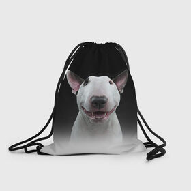 Рюкзак-мешок 3D с принтом Oh snap! в Тюмени, 100% полиэстер | плотность ткани — 200 г/м2, размер — 35 х 45 см; лямки — толстые шнурки, застежка на шнуровке, без карманов и подкладки | Тематика изображения на принте: bull terrier | dog |   | бультерьер | собака
