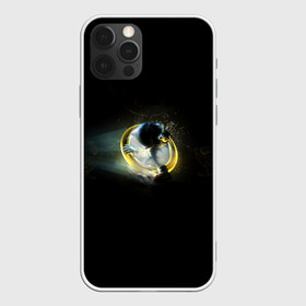 Чехол для iPhone 12 Pro Max с принтом Еж в кольце в Тюмени, Силикон |  | sonic | sonik | игры | соник | фильм соник