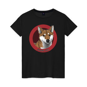 Женская футболка хлопок с принтом Сиба-ину в Тюмени, 100% хлопок | прямой крой, круглый вырез горловины, длина до линии бедер, слегка спущенное плечо | shiba inu | сиба ину | собака | собаки | шиба ину