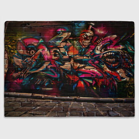 Плед 3D с принтом disquared urban graffity в Тюмени, 100% полиэстер | закругленные углы, все края обработаны. Ткань не мнется и не растягивается | grafity | paint | street art | urban | город | граффити | искусство | кирпичи | краски | рисунки | стена | улицы | уличное искусство