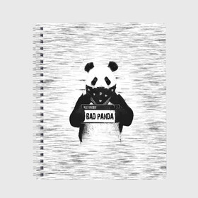 Тетрадь с принтом BAD PANDA в Тюмени, 100% бумага | 48 листов, плотность листов — 60 г/м2, плотность картонной обложки — 250 г/м2. Листы скреплены сбоку удобной пружинной спиралью. Уголки страниц и обложки скругленные. Цвет линий — светло-серый
 | bad | bear | panda | медведь | панда