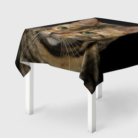 Скатерть 3D с принтом Бенгальский кот в Тюмени, 100% полиэстер (ткань не мнется и не растягивается) | Размер: 150*150 см | bengal cat | cat | бенгальская кошка | бенгальский | кот | котик | коты | кошки