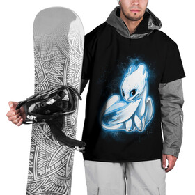 Накидка на куртку 3D с принтом Фурия в Тюмени, 100% полиэстер |  | berk | dragon | fury | how | island | light | night | to | toothless | train | your | беззубик | дневная | дракона | как | ночная | олух | остров | приручить | фурия