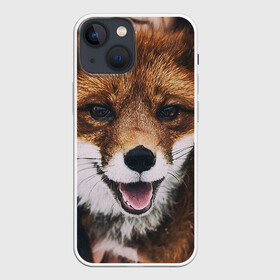 Чехол для iPhone 13 mini с принтом Лисичка в Тюмени,  |  | Тематика изображения на принте: голова | животные | лиса | мордочка | пасть | природа | рыжая | язык
