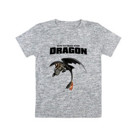 Детская футболка хлопок с принтом Как приручить дракона в Тюмени, 100% хлопок | круглый вырез горловины, полуприлегающий силуэт, длина до линии бедер | dragon | беззубик | викинги | дракон | мульт | мультфильм | фэнтези