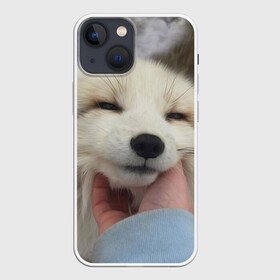 Чехол для iPhone 13 mini с принтом Лисенок в Тюмени,  |  | Тематика изображения на принте: голова | животные | лиса | мордочка | пасть | природа | рыжая | улыбается | улыбка | язык
