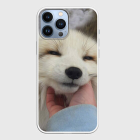 Чехол для iPhone 13 Pro Max с принтом Лисенок в Тюмени,  |  | голова | животные | лиса | мордочка | пасть | природа | рыжая | улыбается | улыбка | язык
