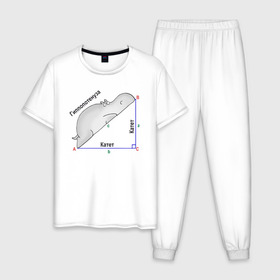 Мужская пижама хлопок с принтом Гиппопотинуза в Тюмени, 100% хлопок | брюки и футболка прямого кроя, без карманов, на брюках мягкая резинка на поясе и по низу штанин
 | гиппопотам. гипотенуза. катет | теорема | треугольник | угол. геометрия. математика. школа