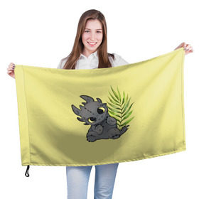 Флаг 3D с принтом ночная фурия в Тюмени, 100% полиэстер | плотность ткани — 95 г/м2, размер — 67 х 109 см. Принт наносится с одной стороны | night fury | беззубик | дракон | как приручить дракона | ночная фурия