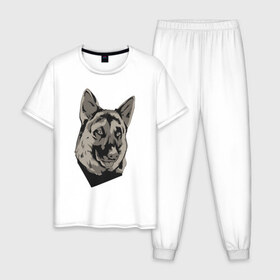 Мужская пижама хлопок с принтом Немецкая овчарка в Тюмени, 100% хлопок | брюки и футболка прямого кроя, без карманов, на брюках мягкая резинка на поясе и по низу штанин
 | dog | немец | овчарка | собака | собаки
