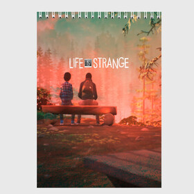 Скетчбук с принтом Life is Strange в Тюмени, 100% бумага
 | 48 листов, плотность листов — 100 г/м2, плотность картонной обложки — 250 г/м2. Листы скреплены сверху удобной пружинной спиралью | caulfield | chloe price | game | kate marsh | life | life is strange | life is strange: before the storm | max | strange | две луны | игры | кейт марш | колфилд | макс | подростки | студенты