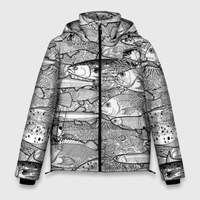 Мужская зимняя куртка 3D с принтом Рыбы в Тюмени, верх — 100% полиэстер; подкладка — 100% полиэстер; утеплитель — 100% полиэстер | длина ниже бедра, свободный силуэт Оверсайз. Есть воротник-стойка, отстегивающийся капюшон и ветрозащитная планка. 

Боковые карманы с листочкой на кнопках и внутренний карман на молнии. | algae | corals | depth | drawing | fish | g | picture | plants | underwater | water | world | белый | вода | водоросли | глубина | графика | картинка | кораллы | красивый | крутой | лучший | мир | мода | модный | молодёжная | подводный