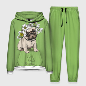 Мужской костюм 3D (с толстовкой) с принтом My little hippie в Тюмени,  |  | breed | dog | hippie | kid | little | my | pug | puppy | wreath | венок | графика | зелёный | картинка | красивый | крутой | лучший | маленький | малыш | мода | модный | мой | молодёжная | мопс | порода | рисунок | ромашки | собака