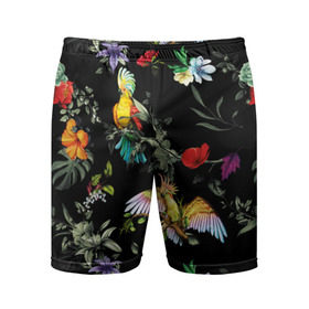 Мужские шорты 3D спортивные с принтом Попугаи в Тюмени,  |  | parrots | ветки | графика | джунгли | искусство | картинка | красивый | красный | крутой | листья | мода | модный | молодёжная | орнамент | попугаи | рисунок | розовый | рукоделие | синий | стиль