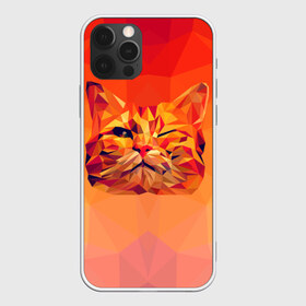 Чехол для iPhone 12 Pro Max с принтом Подмигивающий кот (Low Poly) в Тюмени, Силикон |  | cat | fox | kitty | low | lowpoly | poly | веселая | геометрия | грозовой кошак | желтая | кот | котейка | котофей | кошак | лиса | любителям кошек | низкополигональный | позитив | прикольная | рисунок | рыжая | узор