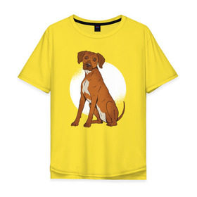 Мужская футболка хлопок Oversize с принтом Родезийский риджбек в Тюмени, 100% хлопок | свободный крой, круглый ворот, “спинка” длиннее передней части | Тематика изображения на принте: rhodesian ridgeback | ridgeback | риджбек | собака | собаки