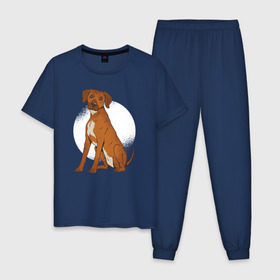 Мужская пижама хлопок с принтом Родезийский риджбек в Тюмени, 100% хлопок | брюки и футболка прямого кроя, без карманов, на брюках мягкая резинка на поясе и по низу штанин
 | Тематика изображения на принте: rhodesian ridgeback | ridgeback | риджбек | собака | собаки