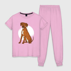 Женская пижама хлопок с принтом Родезийский риджбек в Тюмени, 100% хлопок | брюки и футболка прямого кроя, без карманов, на брюках мягкая резинка на поясе и по низу штанин | rhodesian ridgeback | ridgeback | риджбек | собака | собаки