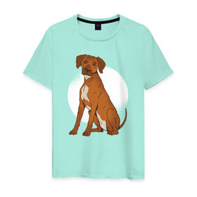 Мужская футболка хлопок с принтом Родезийский риджбек в Тюмени, 100% хлопок | прямой крой, круглый вырез горловины, длина до линии бедер, слегка спущенное плечо. | Тематика изображения на принте: rhodesian ridgeback | ridgeback | риджбек | собака | собаки