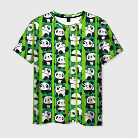Мужская футболка 3D с принтом Медведи панда в Тюмени, 100% полиэфир | прямой крой, круглый вырез горловины, длина до линии бедер | Тематика изображения на принте: animals | bamboo | bears | branches | funny | panda | trees | аниме | бамбук | весёлые | ветки | графика | деревья | животные | зелёный | искусство | картинка | красивый | крутой | малыши | медведи | мода | модный | молодёжная