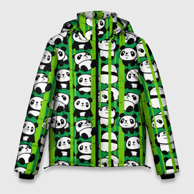 Мужская зимняя куртка 3D с принтом Медведи панда в Тюмени, верх — 100% полиэстер; подкладка — 100% полиэстер; утеплитель — 100% полиэстер | длина ниже бедра, свободный силуэт Оверсайз. Есть воротник-стойка, отстегивающийся капюшон и ветрозащитная планка. 

Боковые карманы с листочкой на кнопках и внутренний карман на молнии. | animals | bamboo | bears | branches | funny | panda | trees | аниме | бамбук | весёлые | ветки | графика | деревья | животные | зелёный | искусство | картинка | красивый | крутой | малыши | медведи | мода | модный | молодёжная