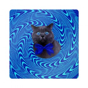 Магнит виниловый Квадрат с принтом Гипнотический кот в Тюмени, полимерный материал с магнитным слоем | размер 9*9 см, закругленные углы | Тематика изображения на принте: big | арт | крупные арты | крупные принты | сумасшедшие арты