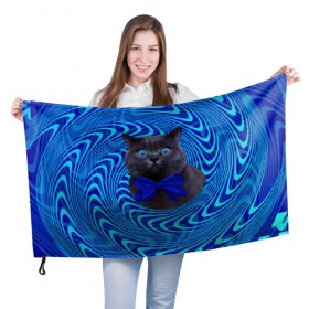 Флаг 3D с принтом Гипнотический кот в Тюмени, 100% полиэстер | плотность ткани — 95 г/м2, размер — 67 х 109 см. Принт наносится с одной стороны | big | арт | крупные арты | крупные принты | сумасшедшие арты