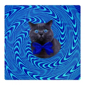 Магнитный плакат 3Х3 с принтом Гипнотический кот в Тюмени, Полимерный материал с магнитным слоем | 9 деталей размером 9*9 см | Тематика изображения на принте: big | арт | крупные арты | крупные принты | сумасшедшие арты