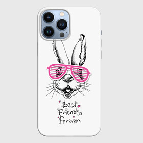 Чехол для iPhone 13 Pro Max с принтом Best Friends Forever в Тюмени,  |  | animal | best friends | forever | hare | hearts | love | rabbit | белый | графика | друзья | животное | заяц | искусство | картинка | кролик | крутой | лучшие | лучший | любоввь | модный | навсегда | очки | полосатые | рисунок