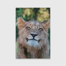 Обложка для паспорта матовая кожа с принтом Улыбка львицы в Тюмени, натуральная матовая кожа | размер 19,3 х 13,7 см; прозрачные пластиковые крепления | голова | животные | кот | кошка | лев | лицо | львица | прикол | прикольные | природа | смешные | тигр | тигрица | улыбается | улыбка | юмор