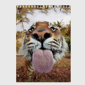 Скетчбук с принтом Тигр показывает язык в Тюмени, 100% бумага
 | 48 листов, плотность листов — 100 г/м2, плотность картонной обложки — 250 г/м2. Листы скреплены сверху удобной пружинной спиралью | голова | животные | кот | кошка | лев | лицо | прикол | прикольные | природа | смешные 
 животные | тигр | тигрица | юмор | язык