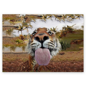 Поздравительная открытка с принтом Тигр показывает язык в Тюмени, 100% бумага | плотность бумаги 280 г/м2, матовая, на обратной стороне линовка и место для марки
 | Тематика изображения на принте: голова | животные | кот | кошка | лев | лицо | прикол | прикольные | природа | смешные 
 животные | тигр | тигрица | юмор | язык